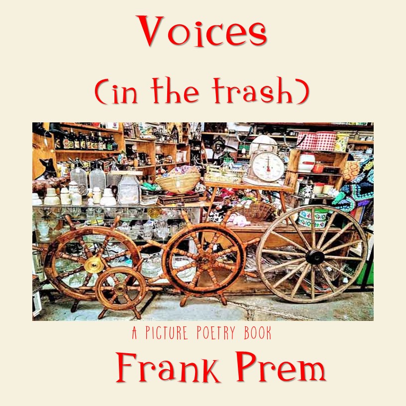 Voices (In The Trash) cover image